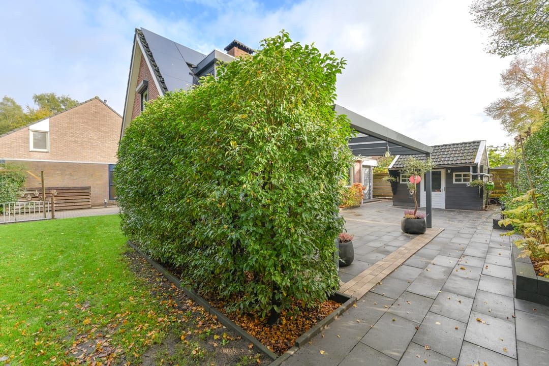 Foto 73 van Dambeern 29