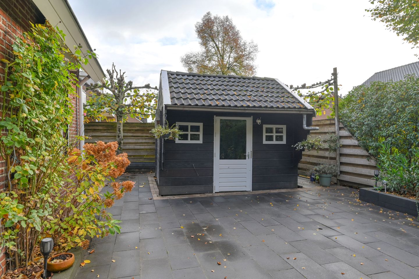 Foto 79 van Dambeern 29