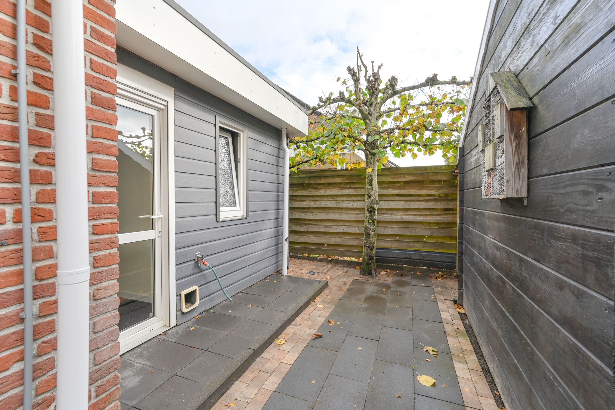 Foto 81 van Dambeern 29