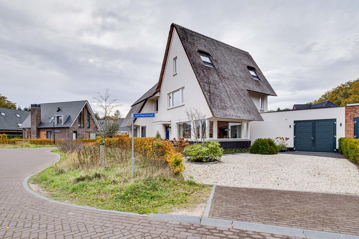 Photo 47 of Juul Paatsstraat 40