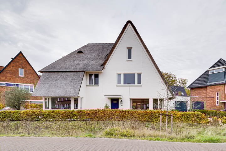 Photo 48 of Juul Paatsstraat 40