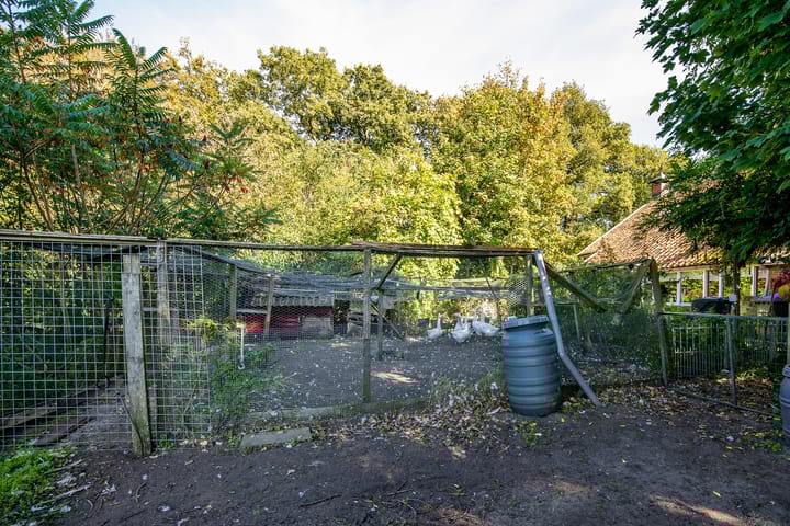 Photo 35 of Dorpsstraat 6