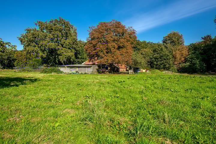 Photo 39 of Dorpsstraat 6