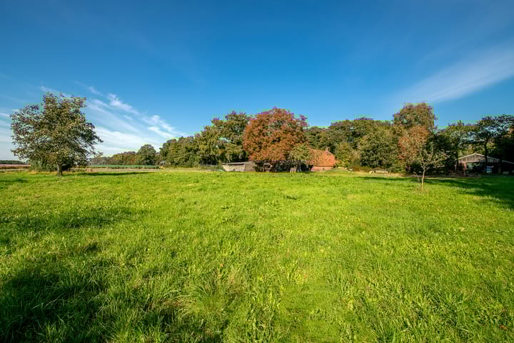 Photo 40 of Dorpsstraat 6