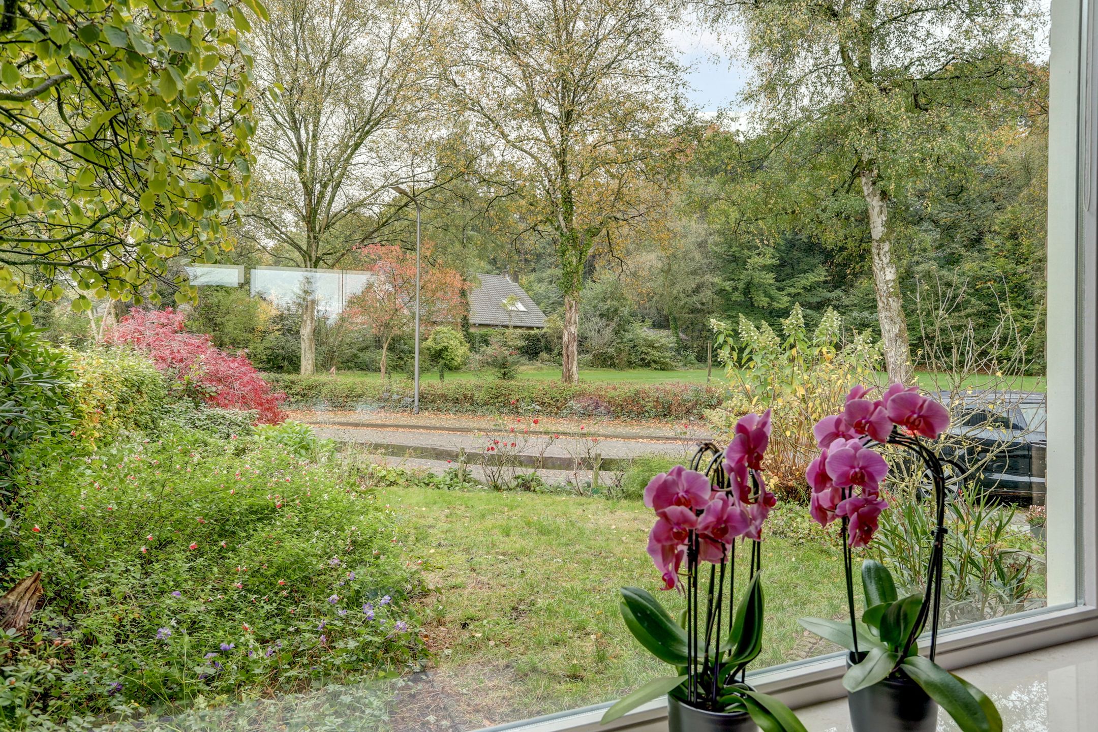 Photo 21 of Cornelis Dopperlaan 18