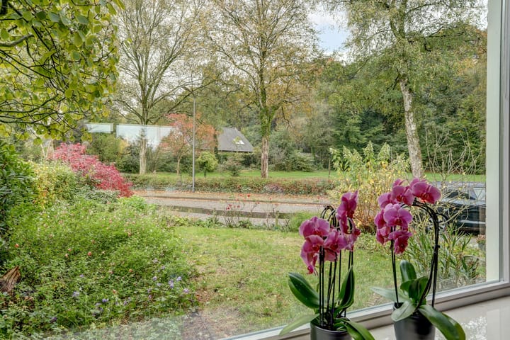 Foto 21 van Cornelis Dopperlaan 18