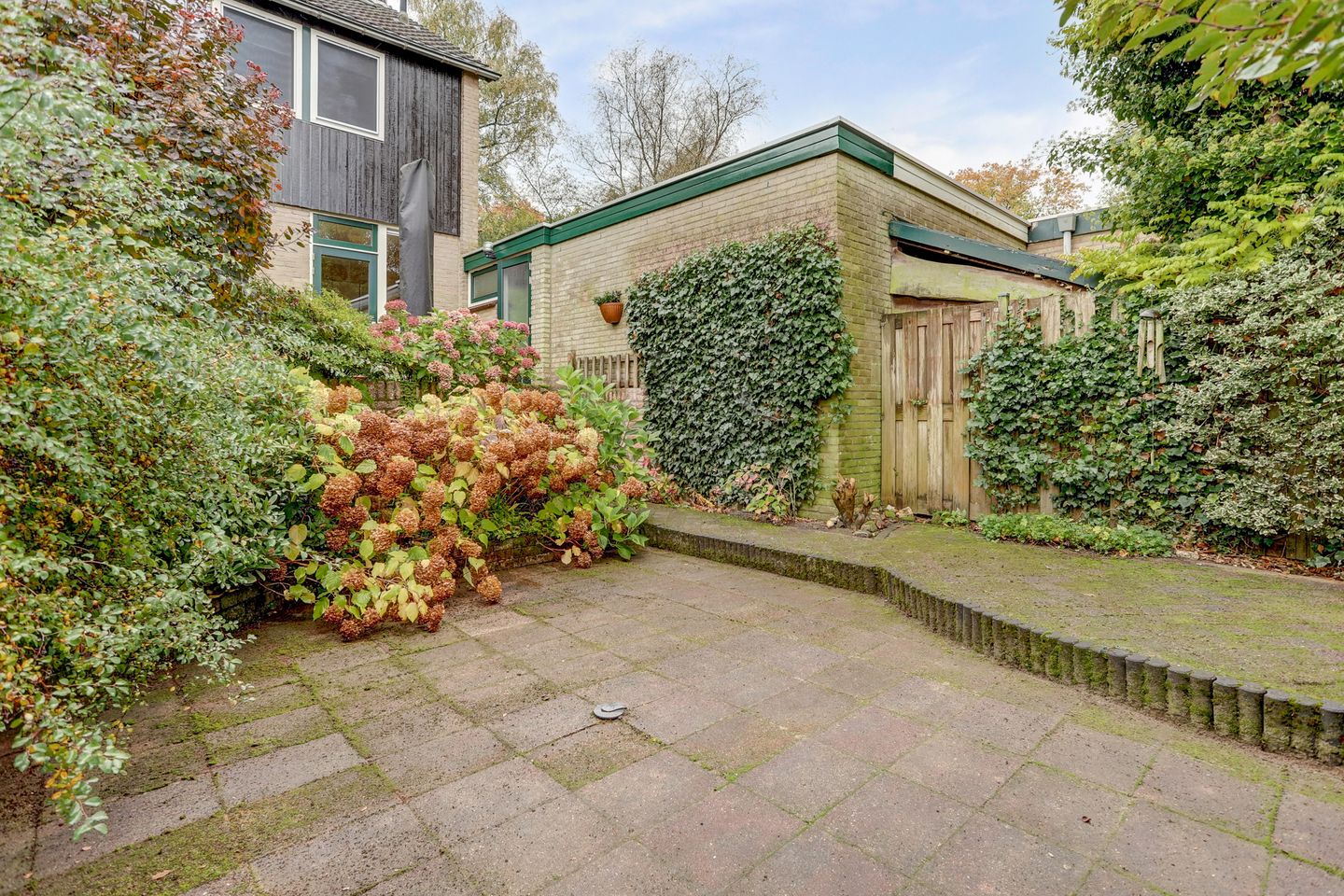 Photo 50 of Cornelis Dopperlaan 18