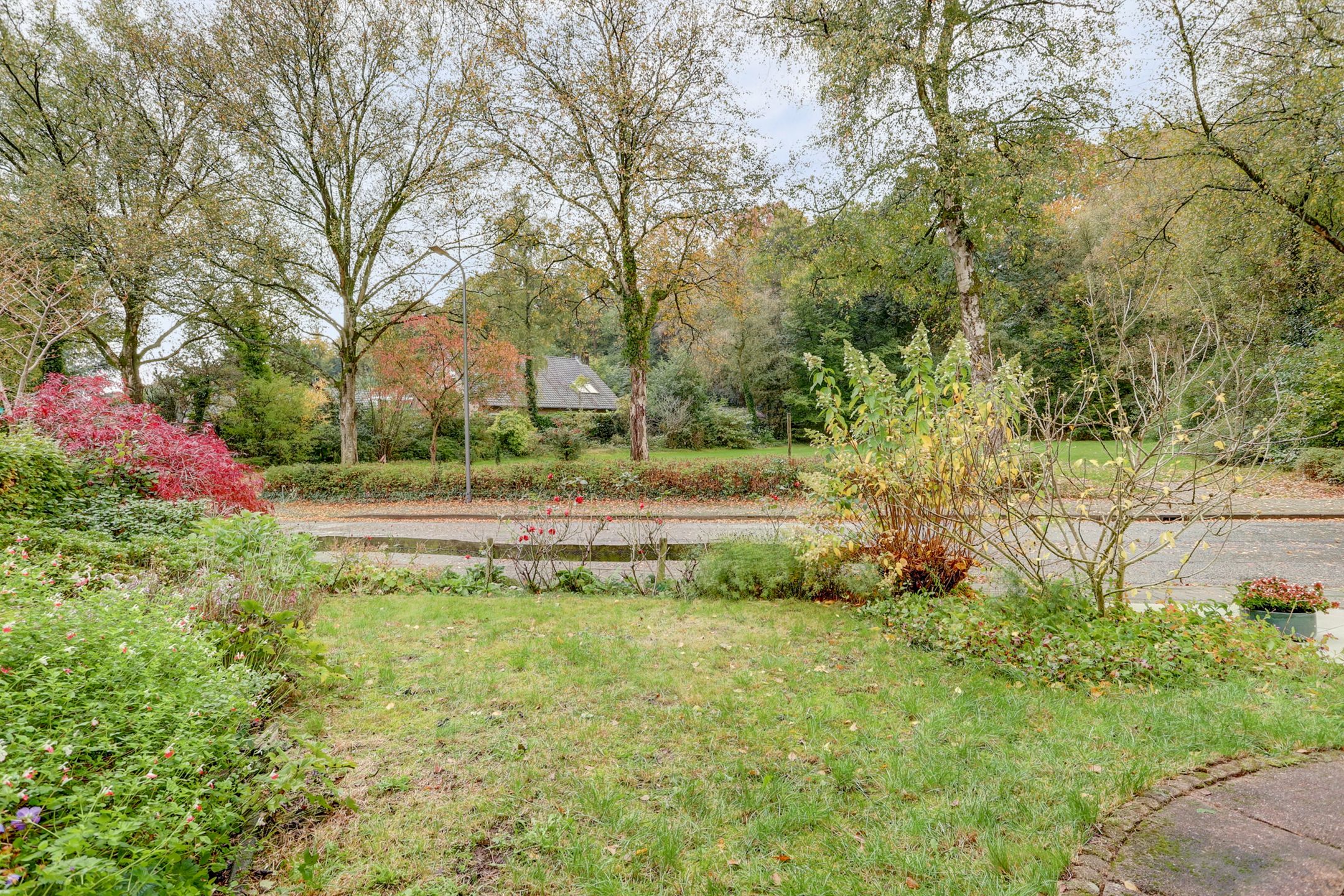 Photo 15 of Cornelis Dopperlaan 18