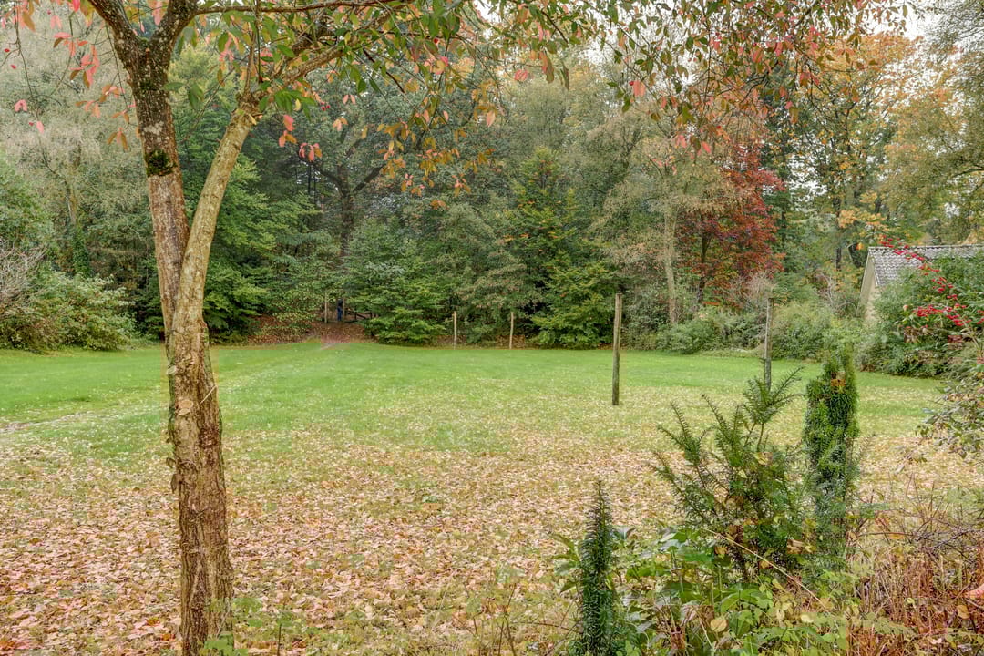 Photo 58 of Cornelis Dopperlaan 18