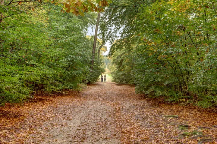 Foto 60 van Cornelis Dopperlaan 18