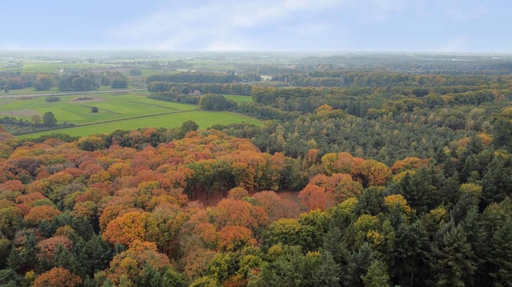 Foto 61 van Cornelis Dopperlaan 18