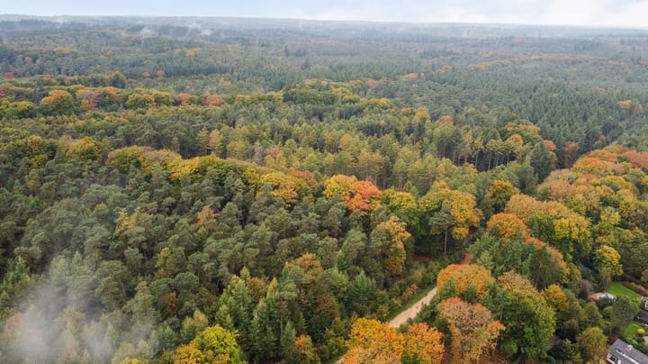 Foto 62 van Cornelis Dopperlaan 18