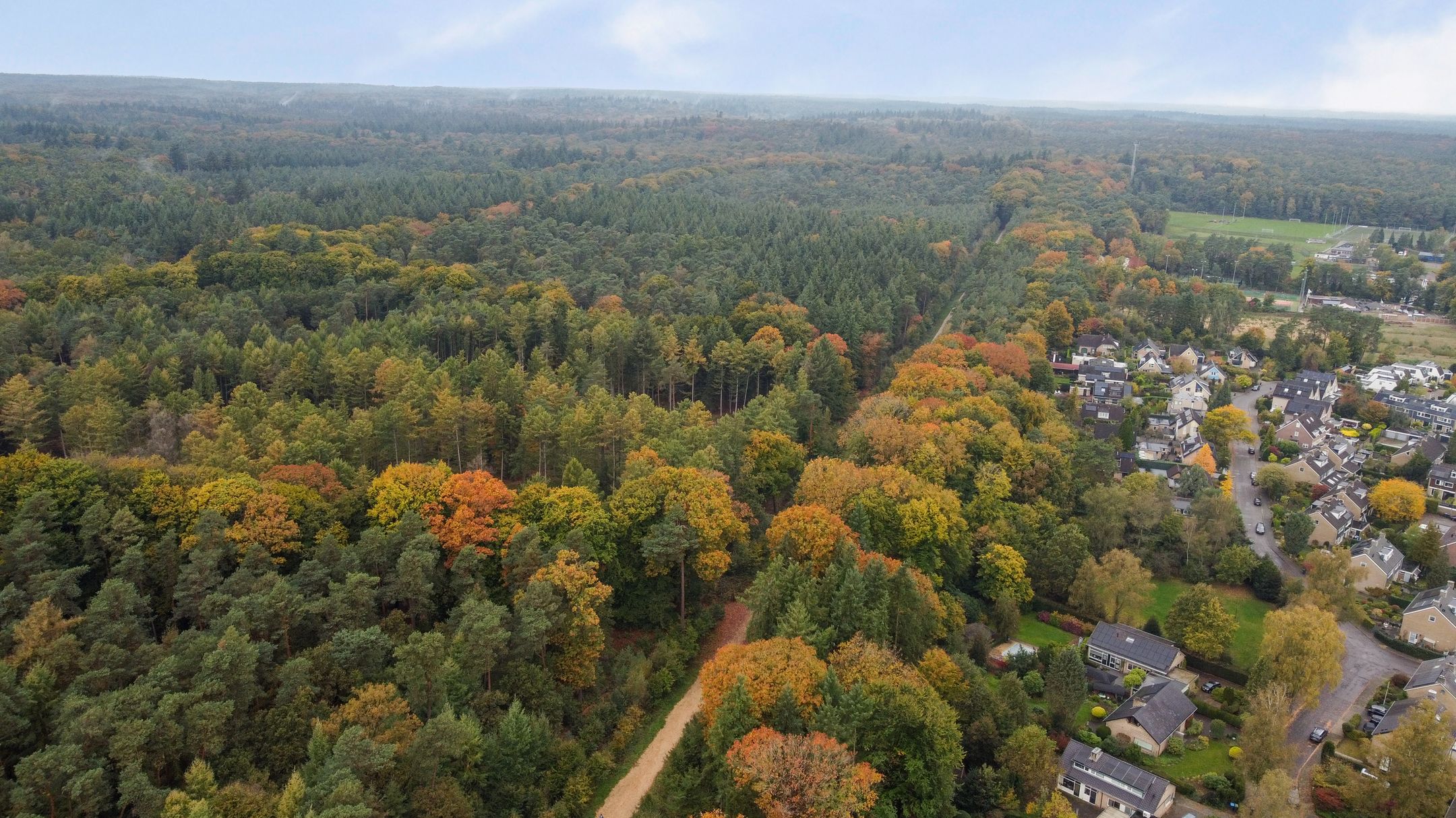 Photo 63 of Cornelis Dopperlaan 18