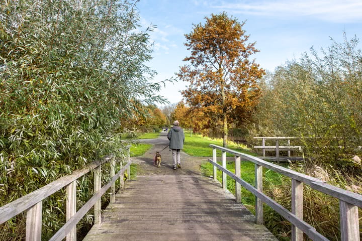 Photo 36 of IJweg 115