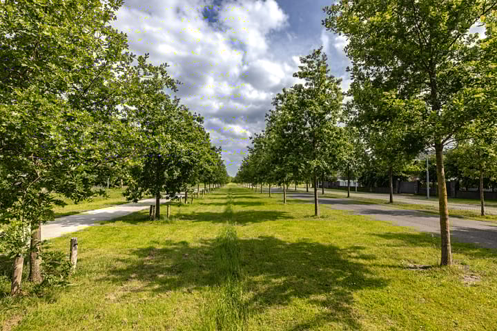 Photo 38 of IJweg 115