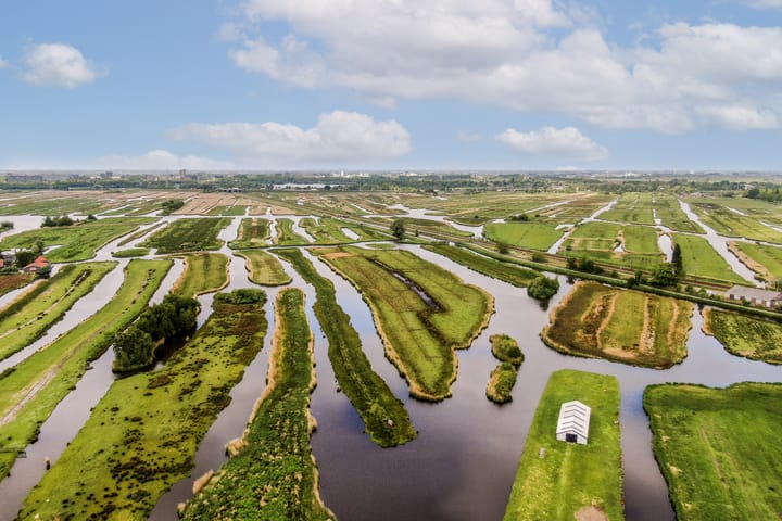 Photo 2 of De Haal 54