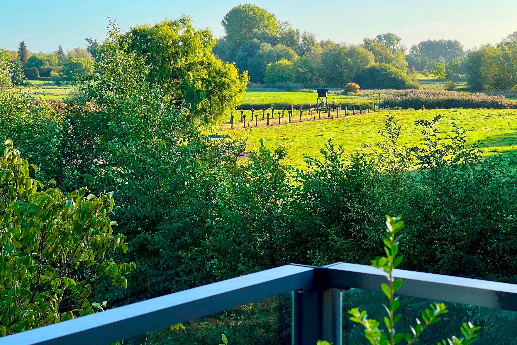 Foto 42 van Molenstraat 47