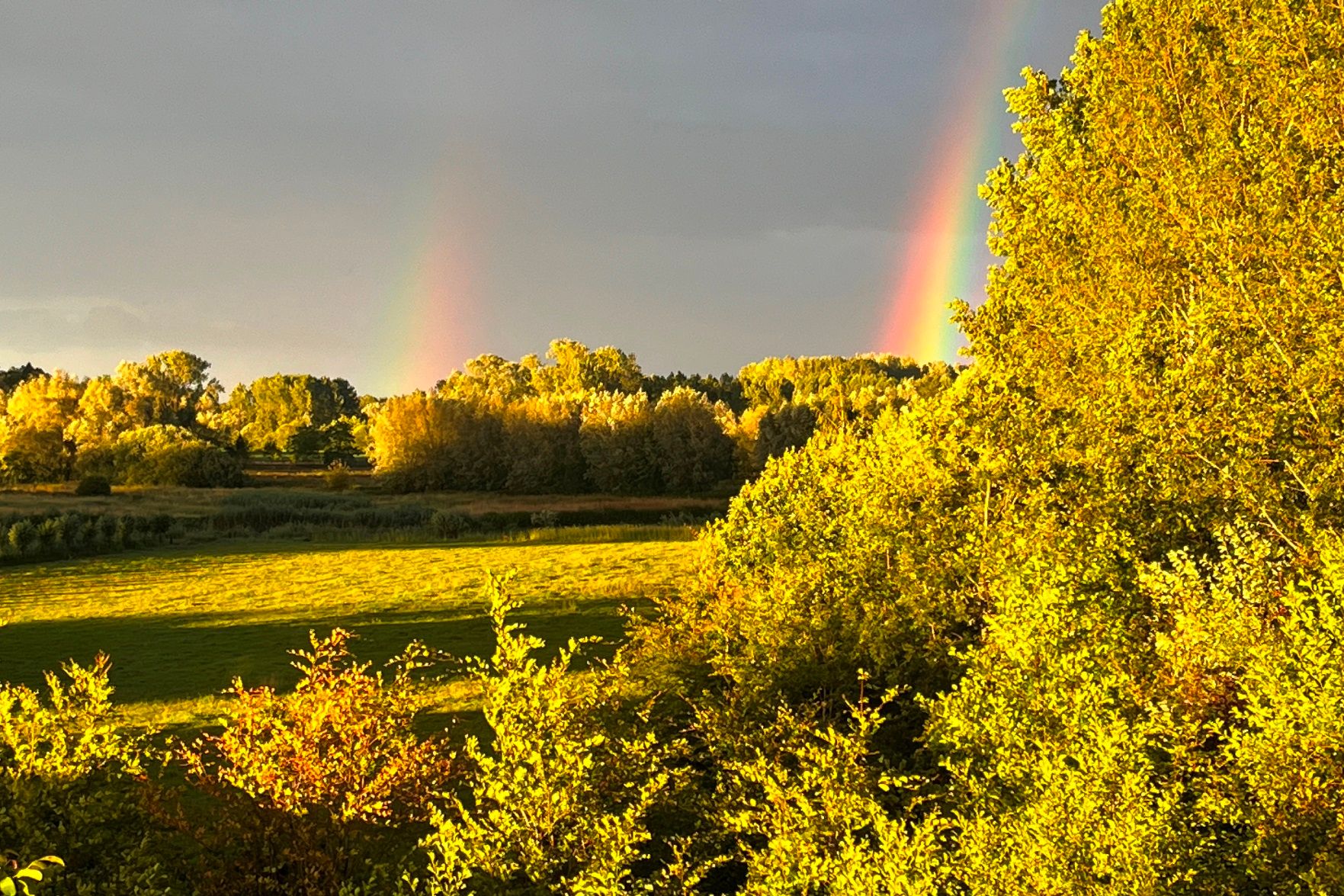 Foto 54 van Molenstraat 47