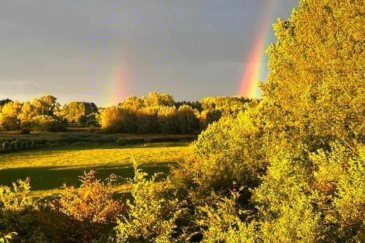 Foto 54 van Molenstraat 47