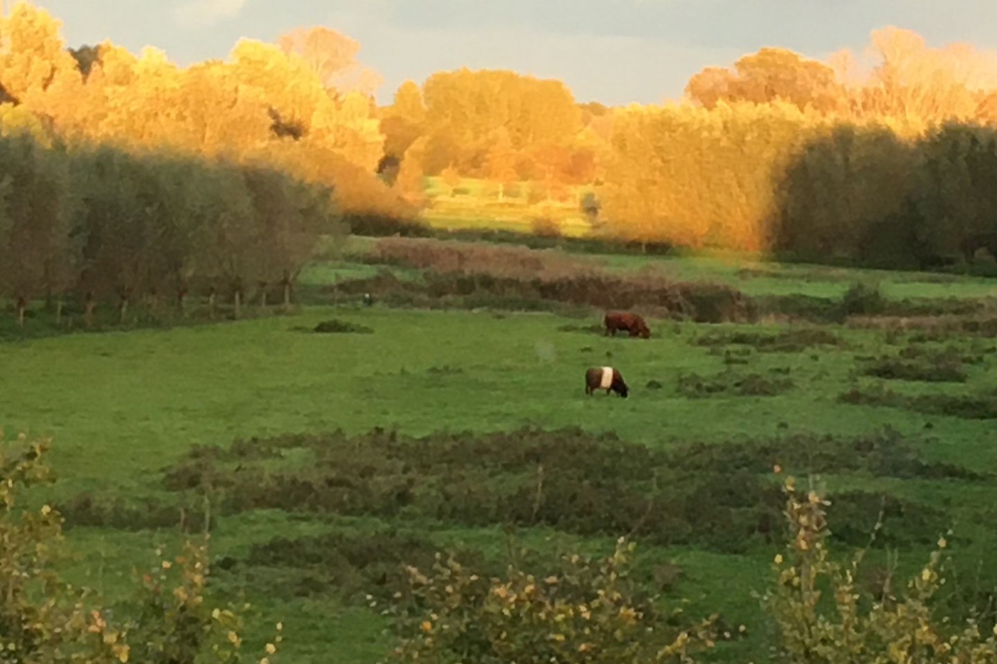 Foto 55 van Molenstraat 47