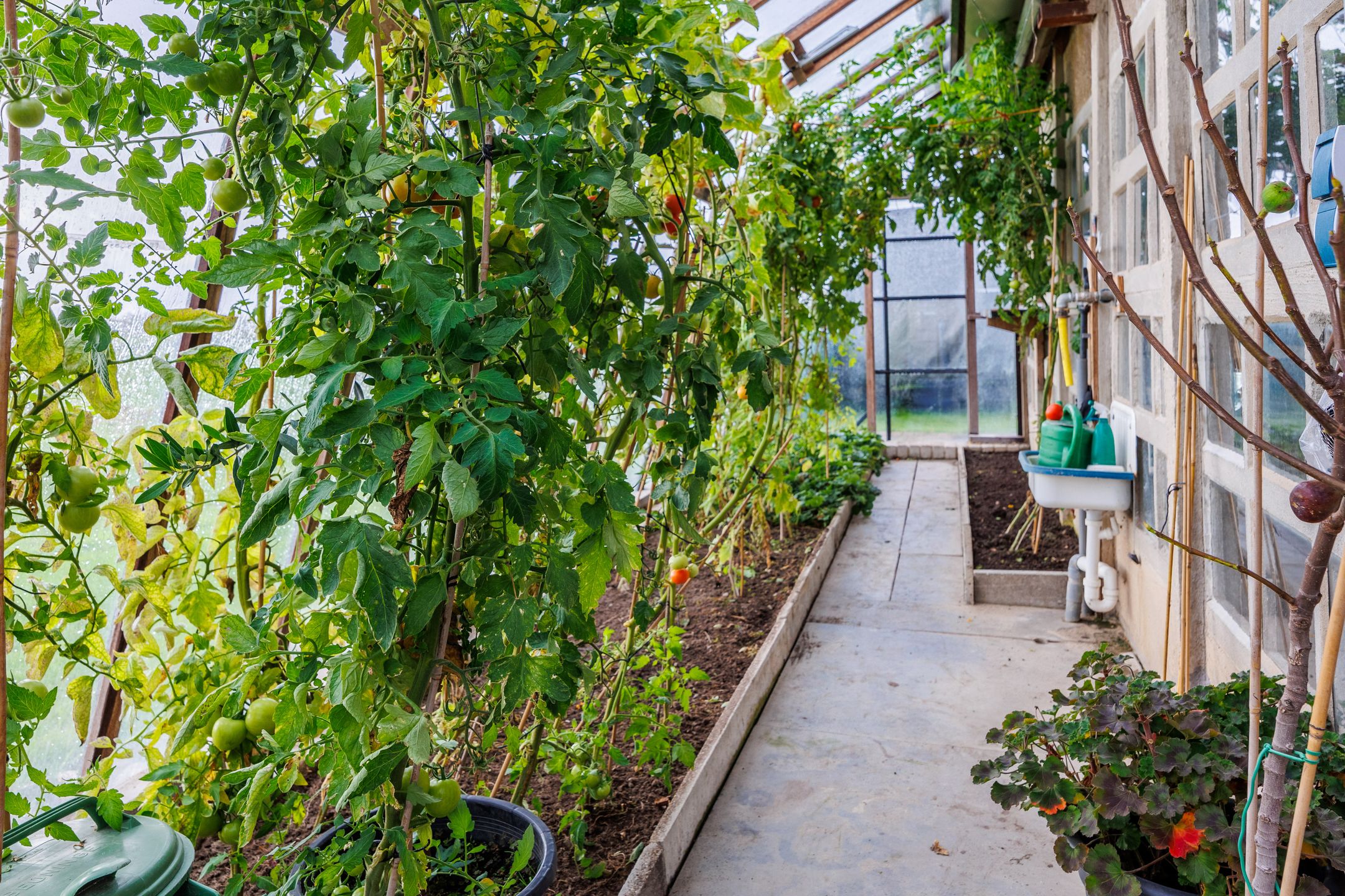 Foto 84 van Koningstraat 7-A