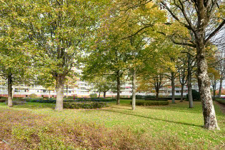 Foto 40 van Boutenburg 107