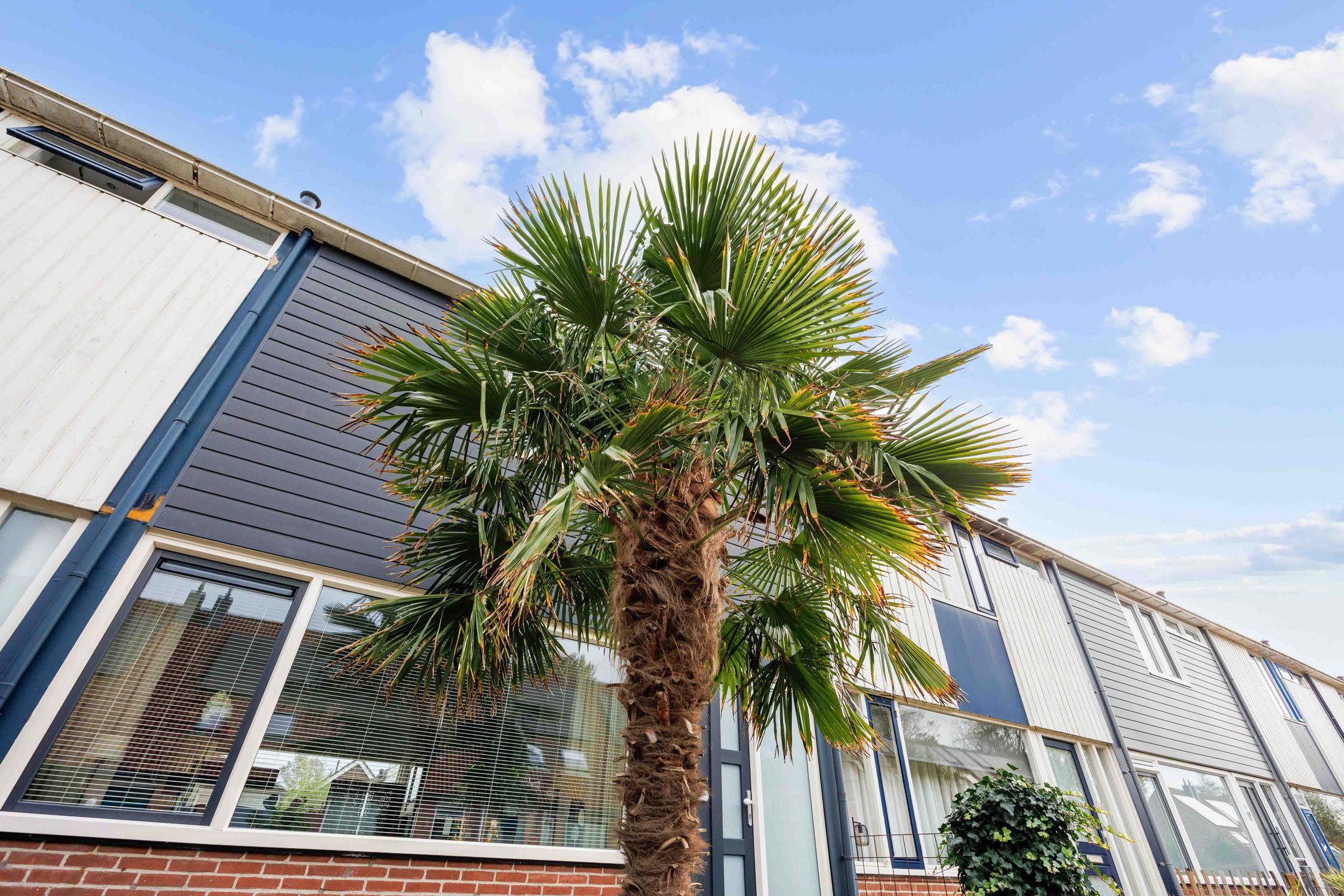 Foto 12 van Klipperstraat 55