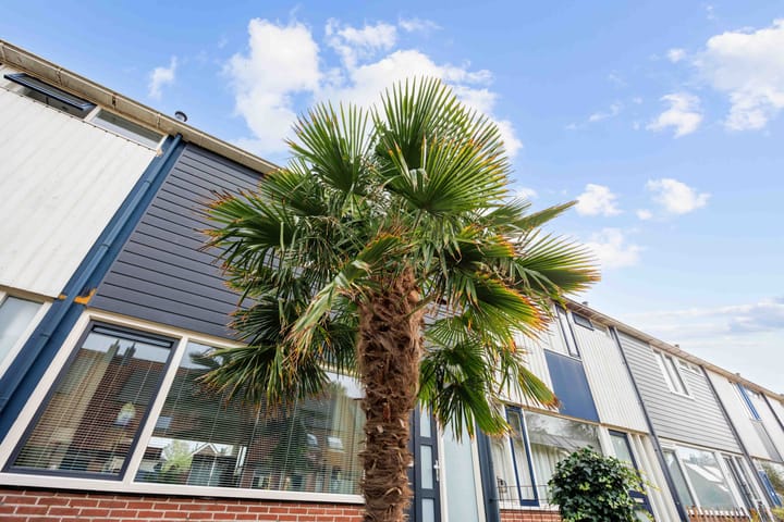 Foto 12 van Klipperstraat 55