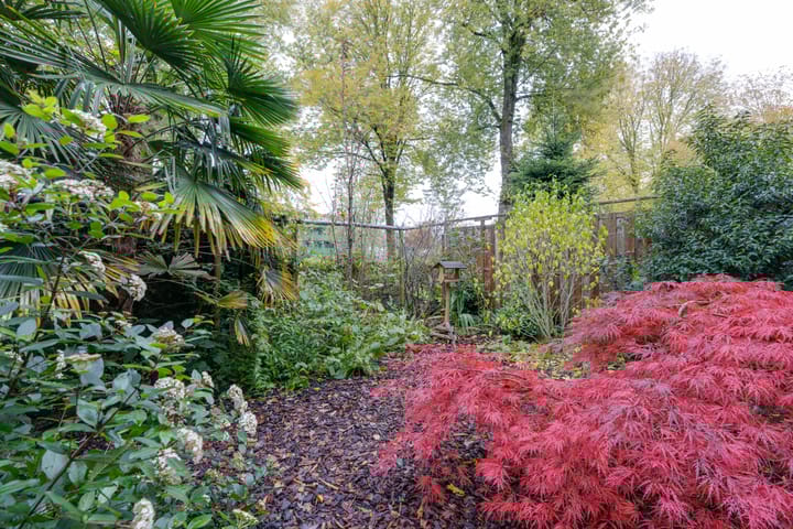 Photo 20 of Opijnenhof 70