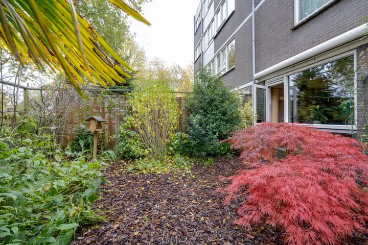 Photo 21 of Opijnenhof 70