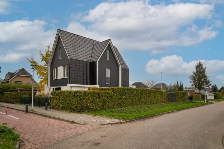 Foto 47 van Glazuurder 1