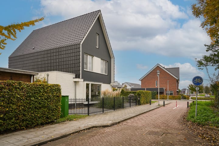 Foto 48 van Glazuurder 1