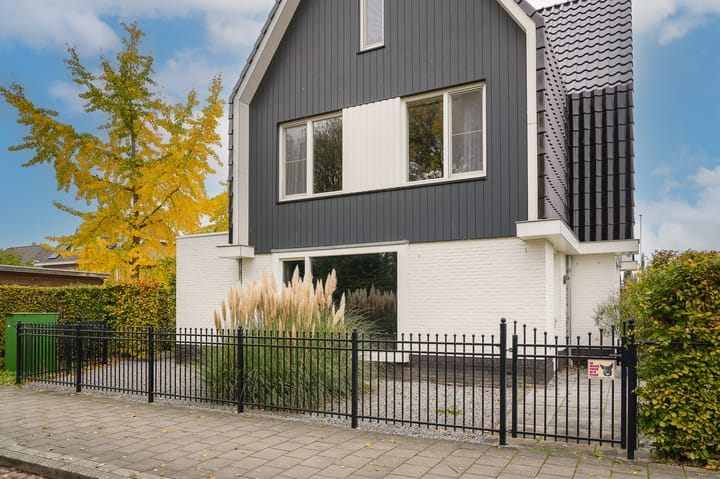 Foto 49 van Glazuurder 1