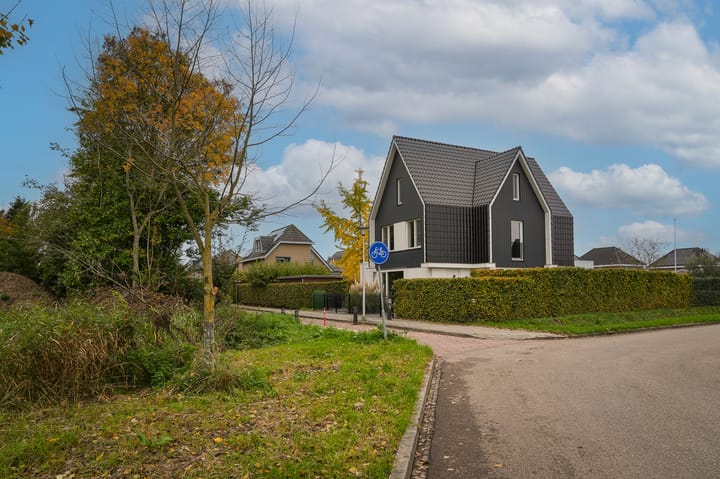 Foto 50 van Glazuurder 1