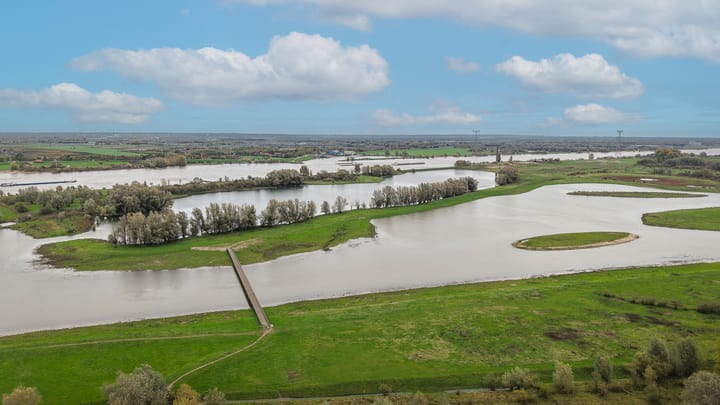 Foto 58 van Glazuurder 1