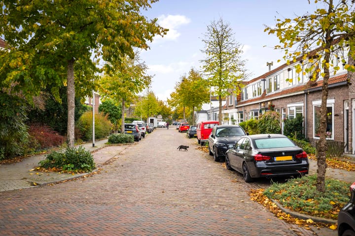 Foto 38 van 1e Weerdsweg 89