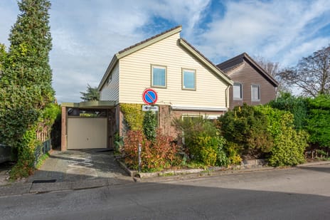 undefined main image