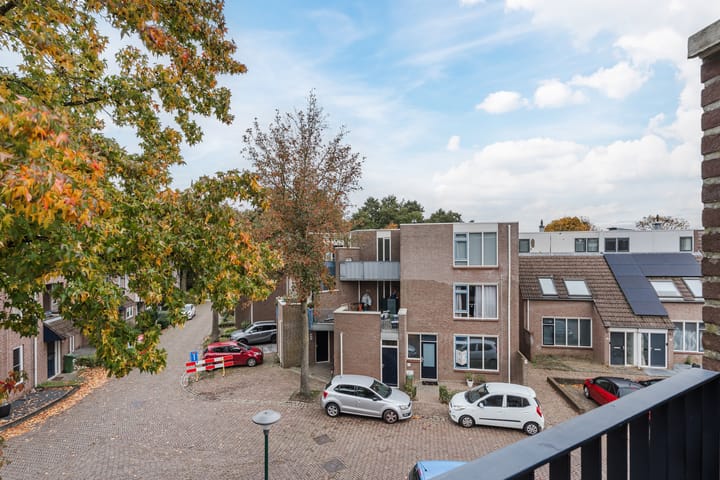 Foto 4 van Bereklauw 36