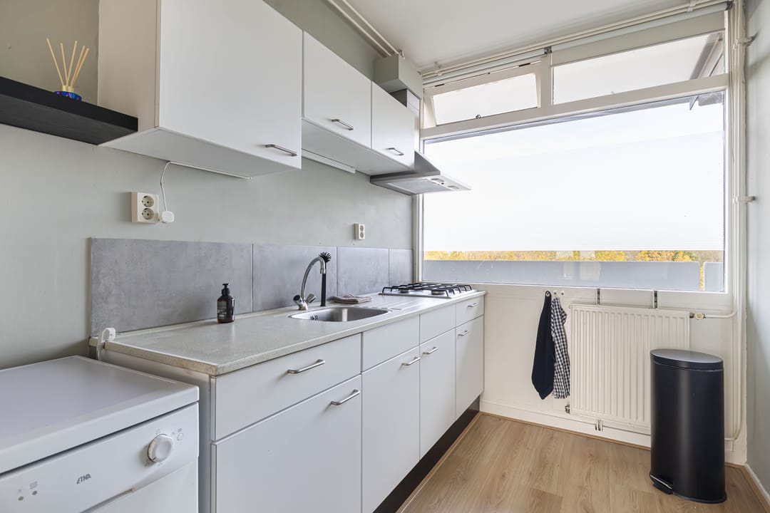 Foto 11 van Tjaarda 190