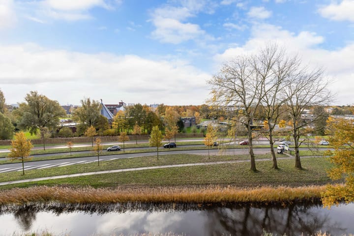 Foto 19 van Tjaarda 190