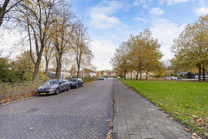 Foto 25 van Tjaarda 190