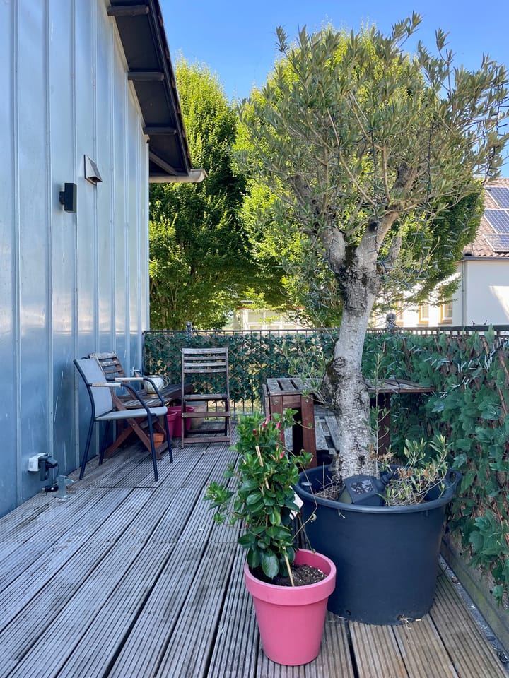 Photo 12 of Flessestraat 3