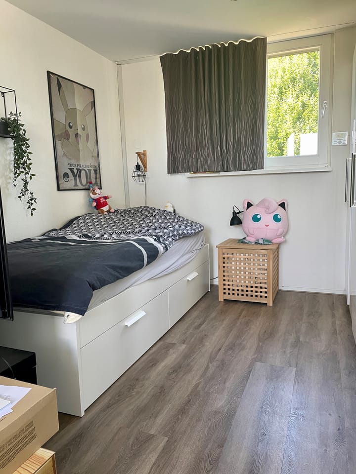 Photo 17 of Flessestraat 3