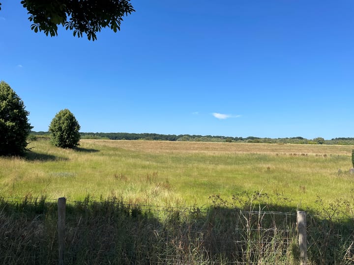 Photo 26 of Flessestraat 3