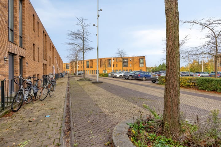 Foto 32 van Waterfront 41