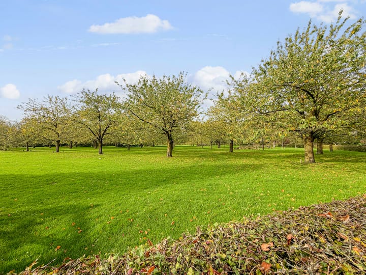 Foto 26 van Rietbaan 30