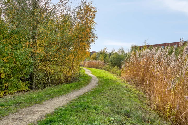 Foto 35 van Waterfront 41