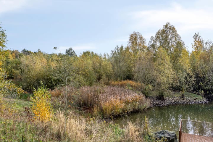 Foto 36 van Waterfront 41