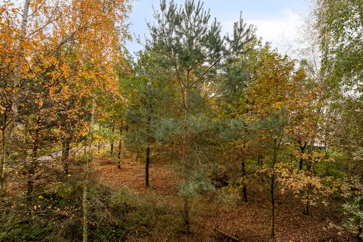 Foto 12 van Waterfront 41