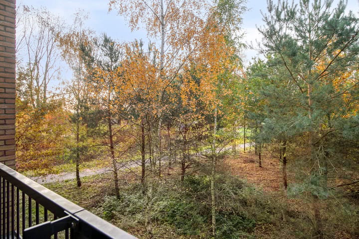 Foto 11 van Waterfront 41